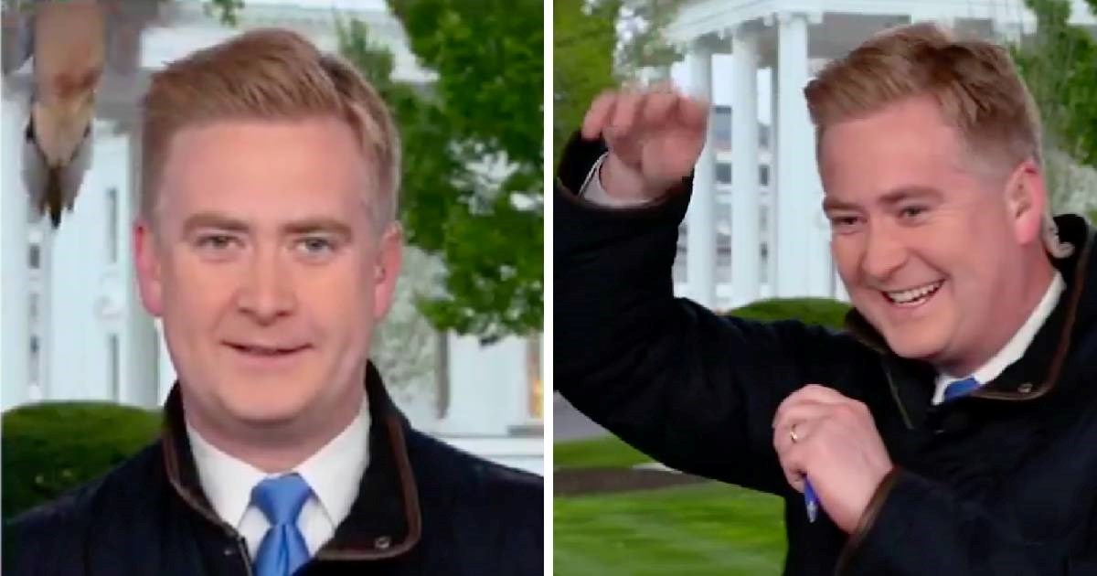 Golub napao novinara tijekom izvještavanja o Trumpovim carinama, video je hit