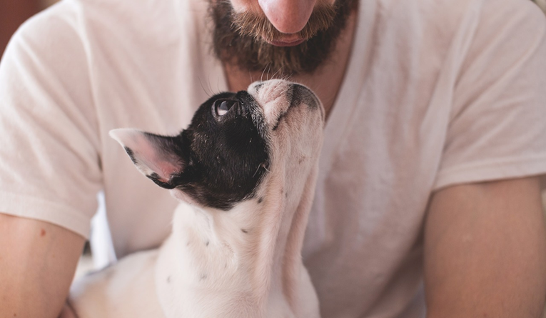 Znanstvenici odgovorili: Jesu li psi doista sposobni voljeti kao ljudi?