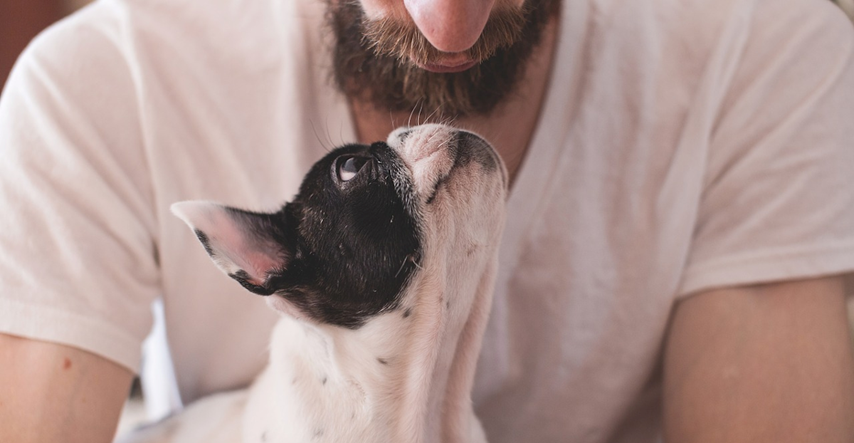 Znanstvenici odgovorili: Jesu li psi doista sposobni voljeti kao ljudi?