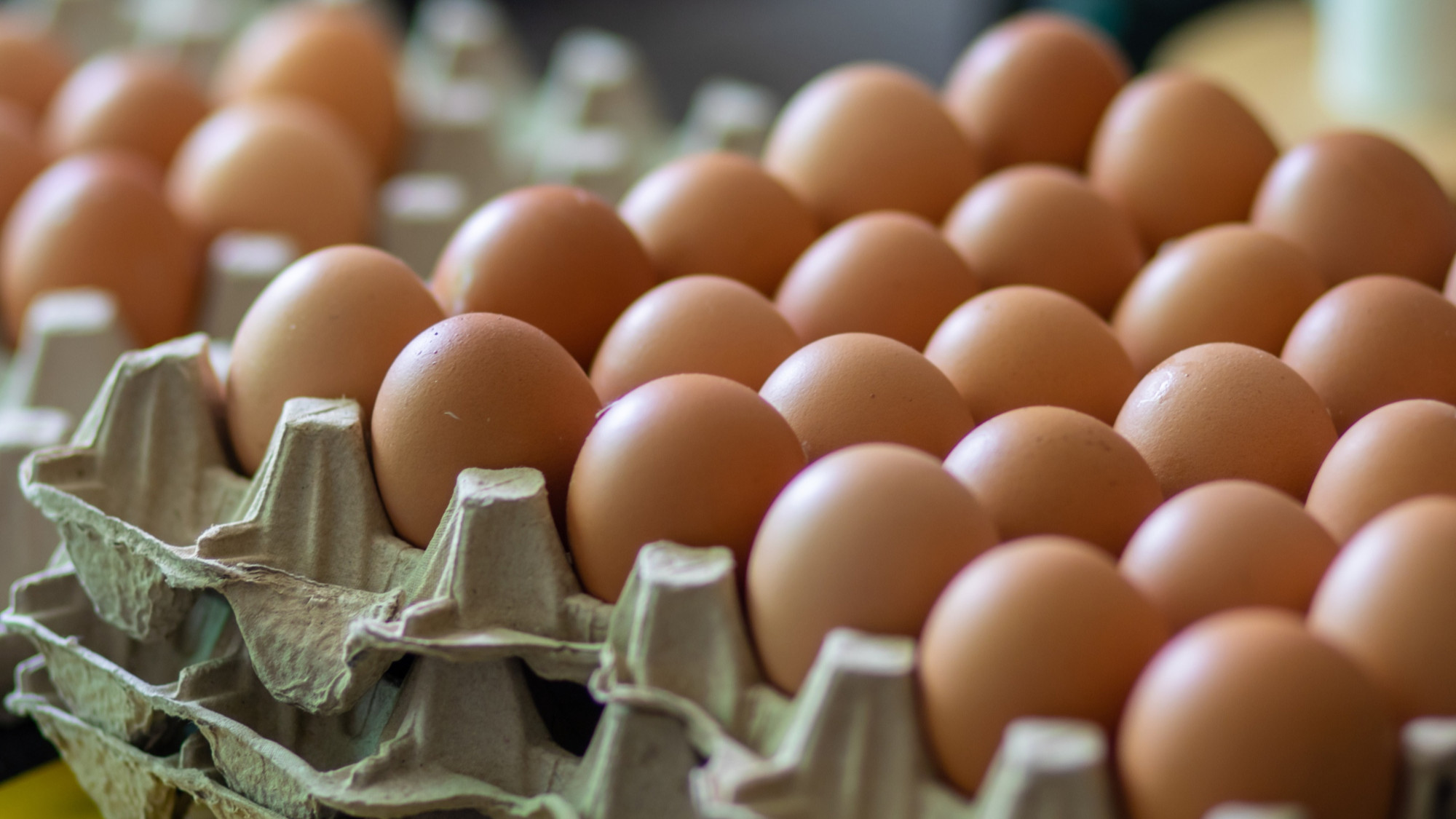 U Britaniji je epidemija salmonele - može li se prepoznati zaraženo jaje?