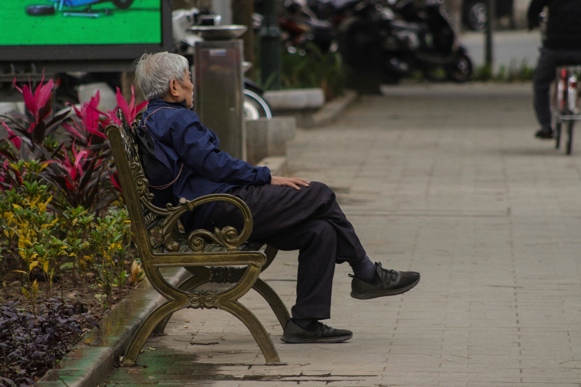 Usamljenost povećava rizik od demencije za 31%, otkriva nova studija