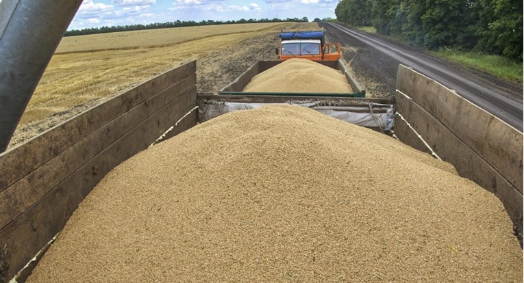 U Francuskoj u kamionu sa pšenicom našli više od 2 tone kanabisa