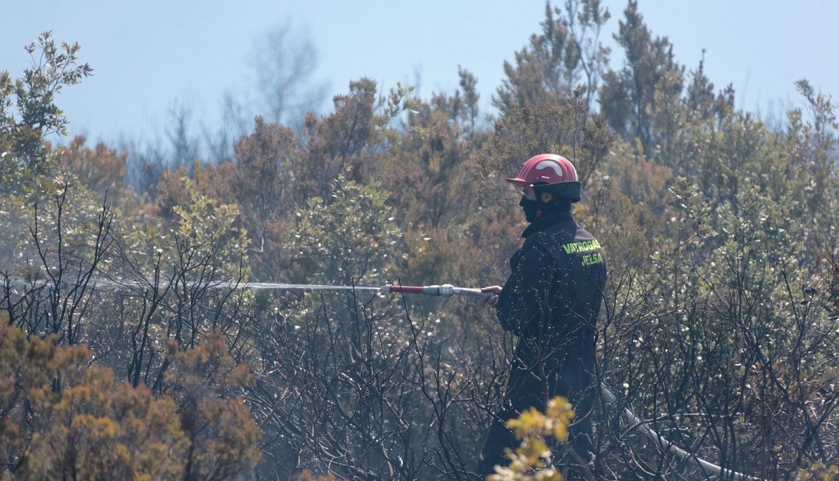 Požar na Hvaru, vatra buknula u masliniku pa se proširila na borovu šumu