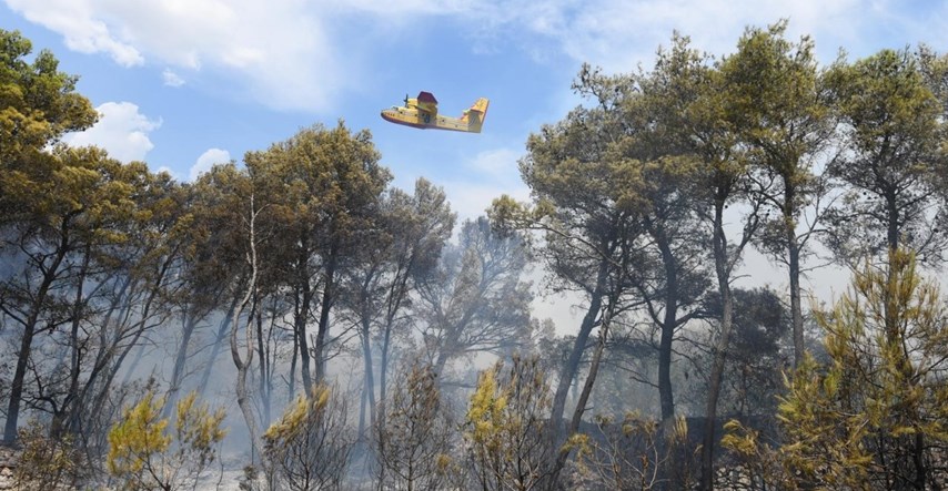 Agronom: Uzrok požara u Dalmaciji je alepski bor, zapaljena šiška leti kao metak