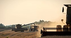Zašto neke članice EU blokiraju uvoz ukrajinskih žitarica?