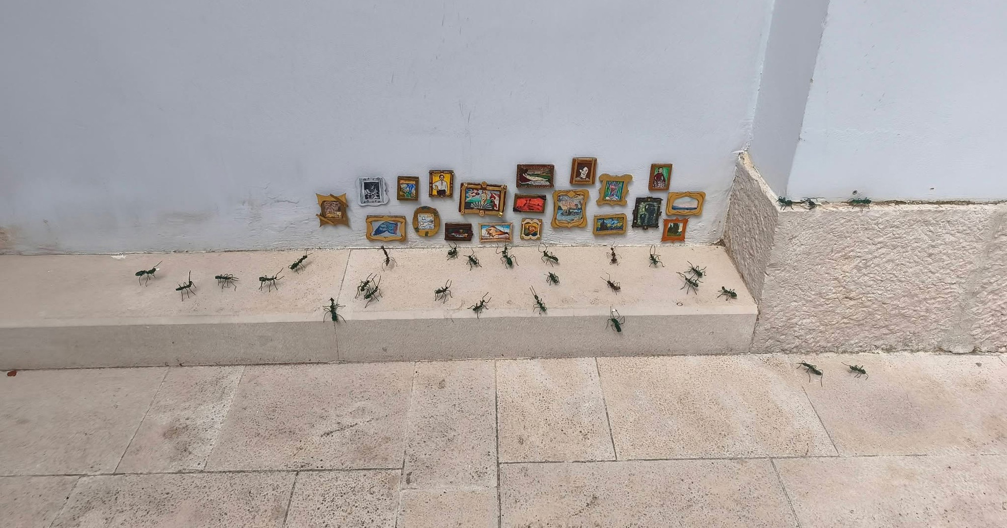 Zadarski srednjoškolci napravili izložbu za mrave