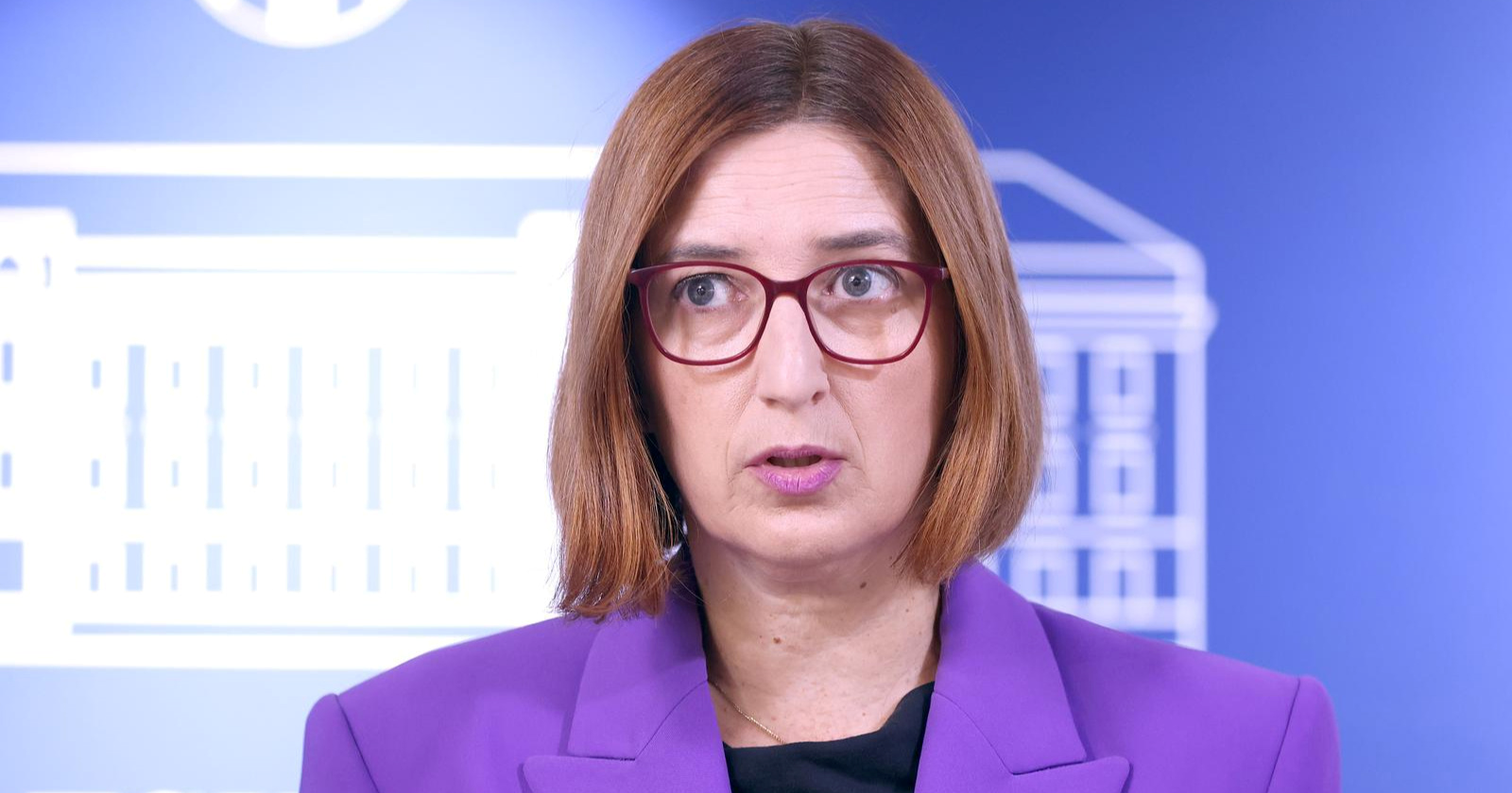 Marijana Puljak je nova predsjednica stranke Centar