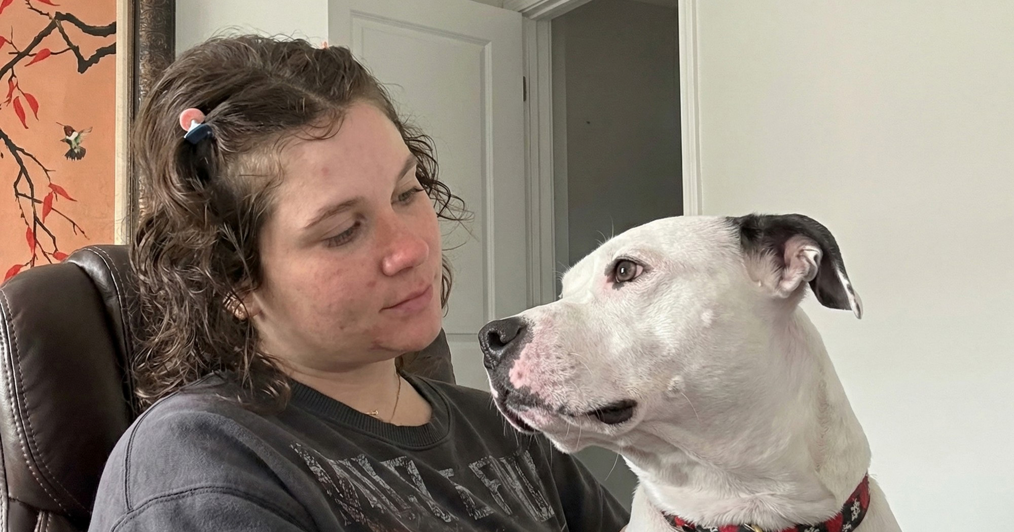 Kupila veću uredsku stolicu da pas može sjediti s njom dok radi