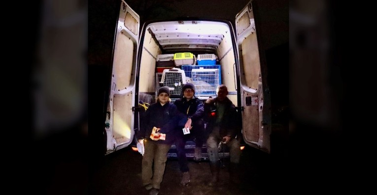 Poljski veterinar spasio 260 pasa i mačaka iz ukrajinske ratne zone