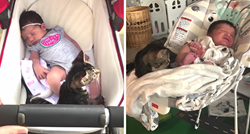 VIDEO Ova maca odlično je prihvatila dolazak bebe u obitelj, ne odvaja se od nje