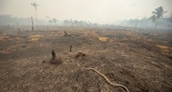 U Brazilu zbog krčenja šuma emisija stakleničkih plinova porasla za gotovo 10 posto