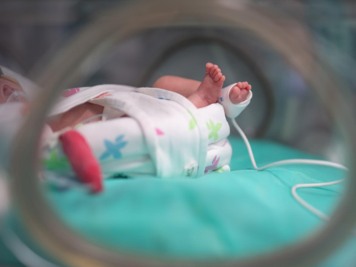 U prošloj godini više rođenih u Hrvatskoj