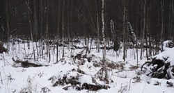 Ukrajinska nacionalna garda objavila fotke snajperista u snijegu. Biste li ih uočili?