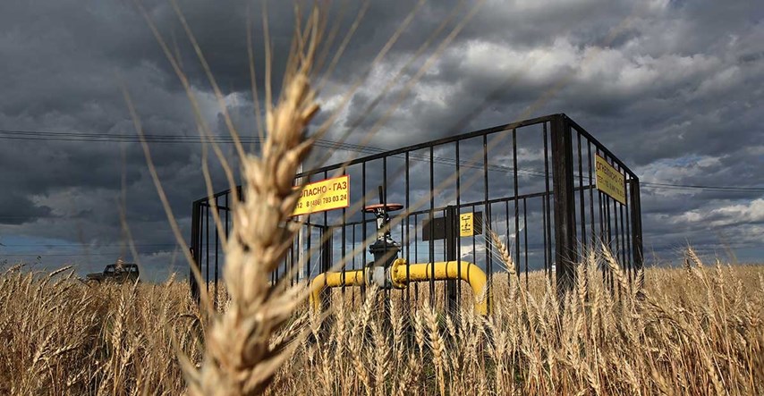 Ukrajinski trgovci žitaricama podigli procjenu ovogodišnjeg uroda