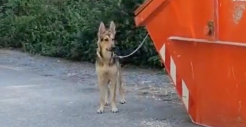 Netko je psa ostavio vezanog za kontejner i prepuštenog samom sebi