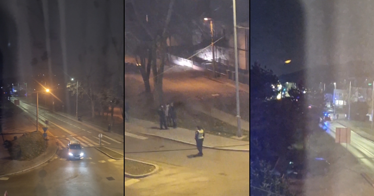 Na ulazu u Samobor naletjela na pješaka koji je prelazio cestu. Poginuo je