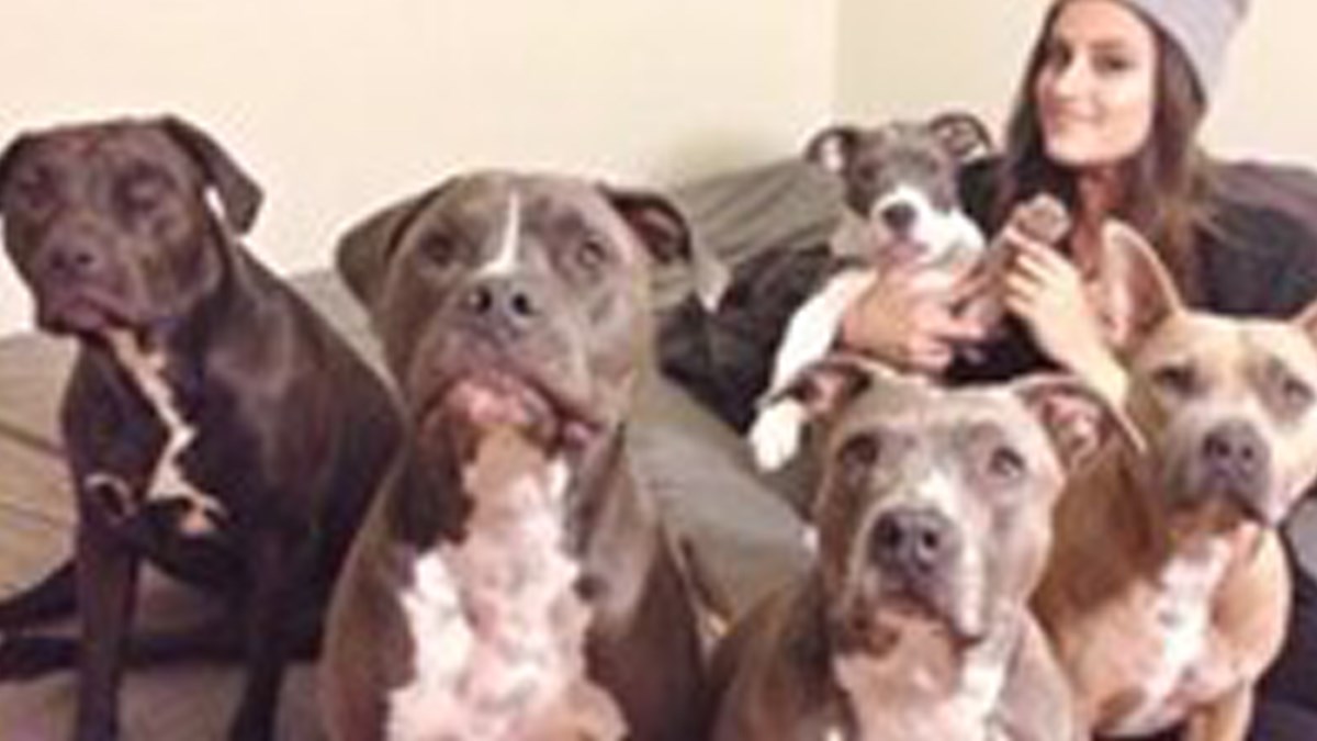 Udomili su preko 180 pasa i nemaju namjeru prestati pomagati