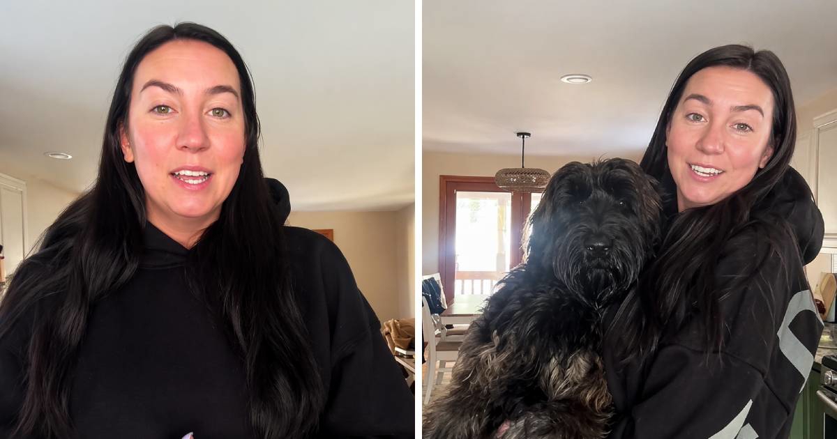 Udomila je štene misleći da će biti srednjeg rasta, a dobila je divovskog šnaucera 🫣