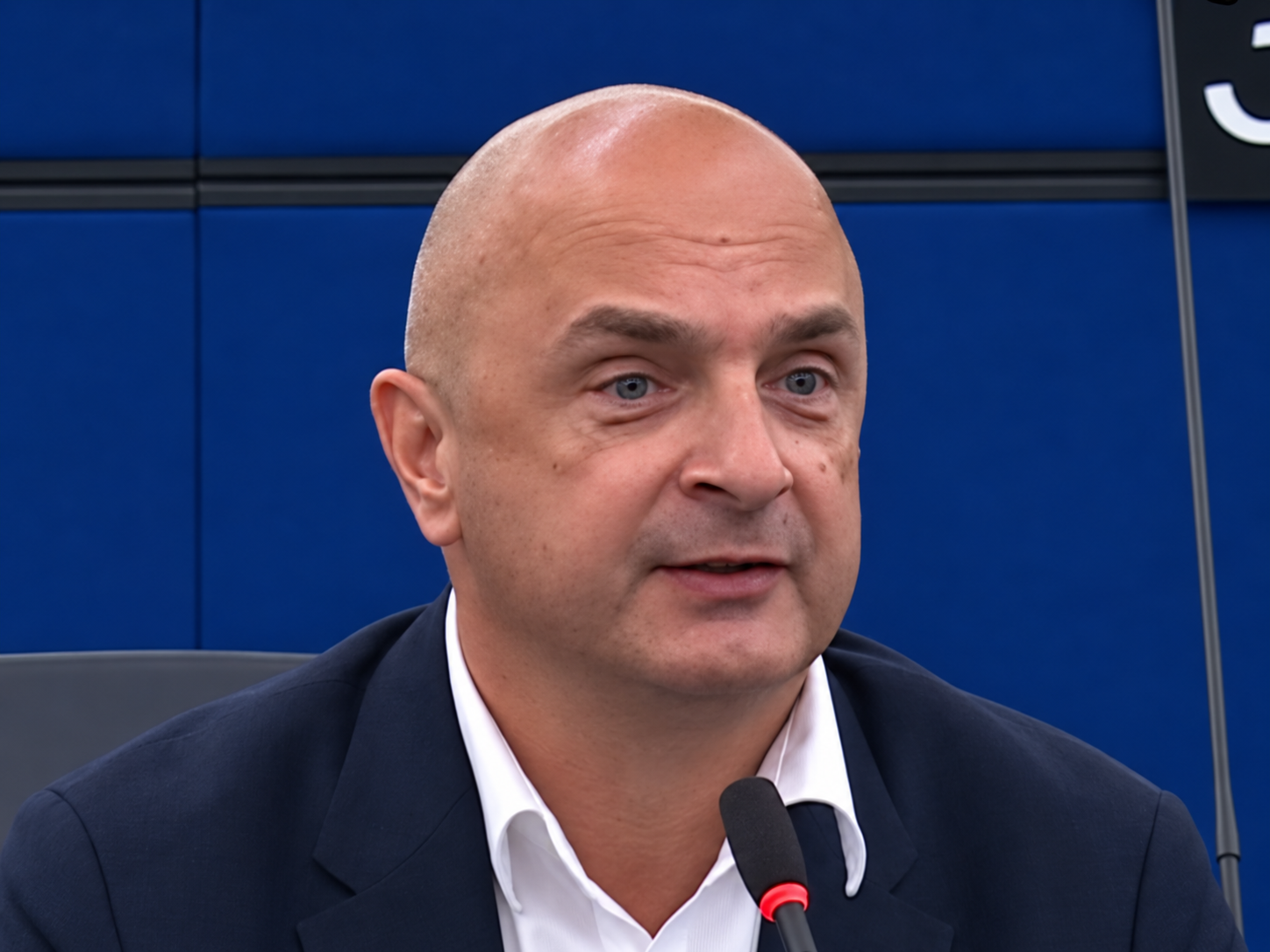 VIDEO Pogledajte govor Bosanca iz Možemo o katastrofi u Lici u EU parlamentu