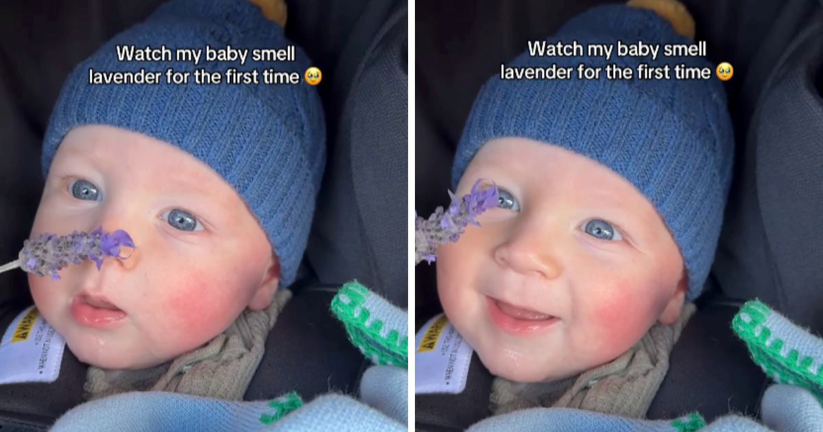 VIDEO Reakcija bebe na miris lavande izmamit će vam osmijeh na lice