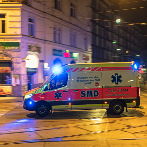 Majka u Austriji slučajno pregazila jednogodišnju kćer