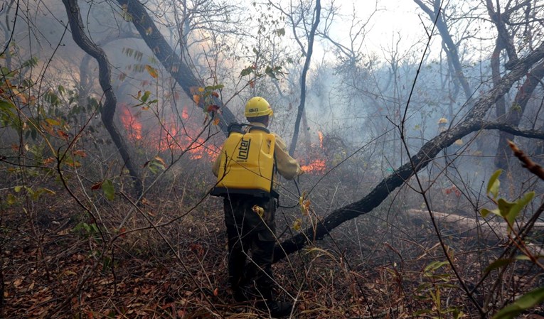 Požari u Boliviji opustošili više od 1,7 milijuna hektara šume