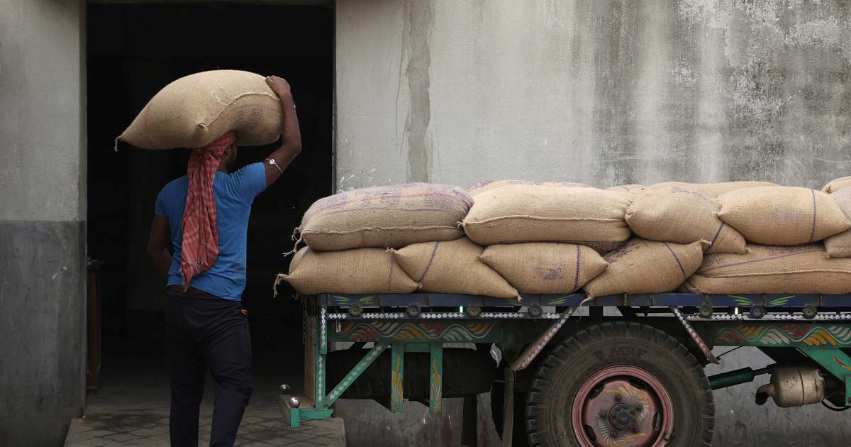 Indija je najveći proizvođač riže na svijetu, ali ostaje bez vode