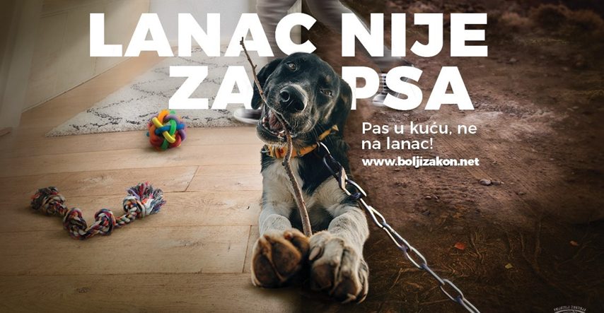 Diljem Hrvatske apel za zabranu držanja pasa na lancu