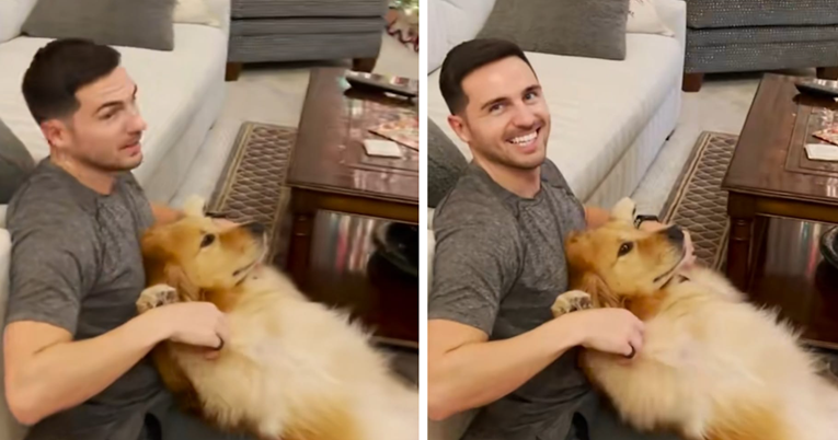 Zabranio zlatnom retriveru da se popne na kauč. Sada obojica moraju sjediti na podu