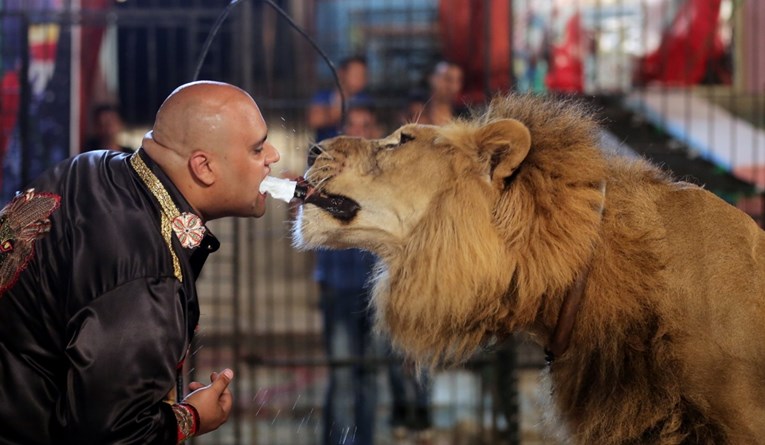 Europarlamentarci traže zabranu korištenja divljih životinja u cirkusima