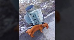 Psić se popišao po ruskoj raketi u Harkivu