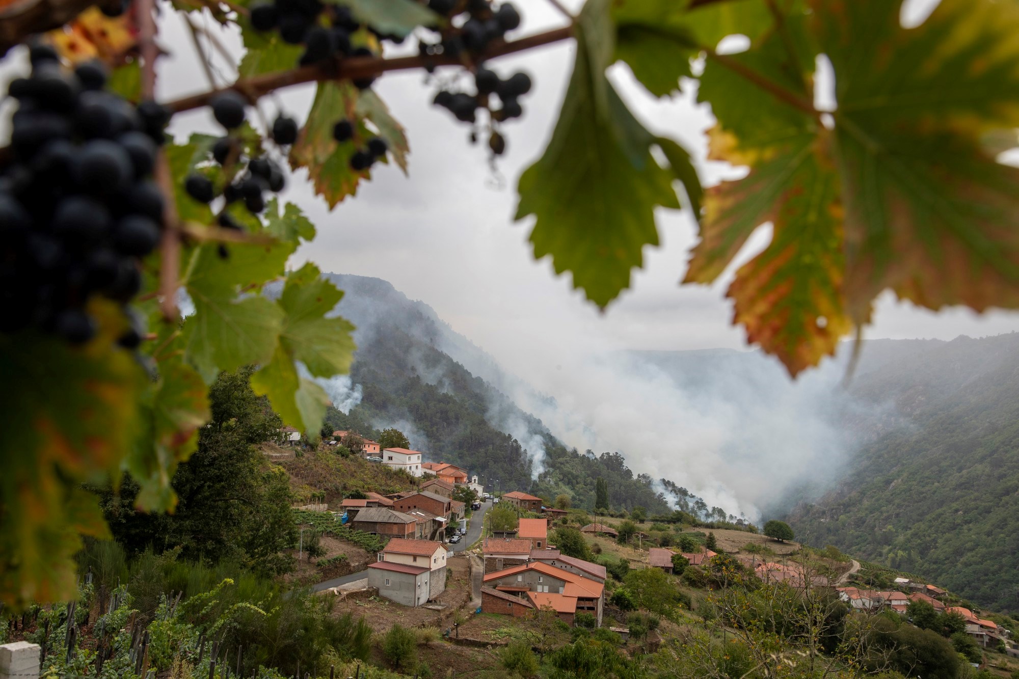 Vatrogasci i vojska u Španjolskoj bore se s požarima