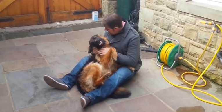 Pas "zaplakao" od sreće kada je vidio vlasnika nakon mjeseci razdvojenosti