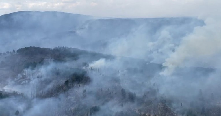 Gori veliki šumski požar u Češkoj, na terenu je 900 vatrogasaca