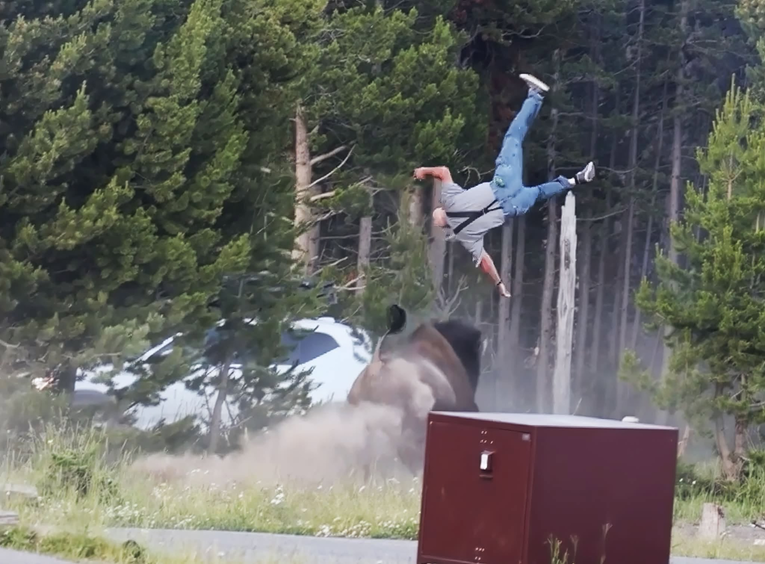 VIDEO Bizon težak 900 kg u Yellowstoneu bacio turista 2,5 metra u zrak