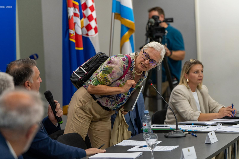 Možemovka nakon što je prekinula sjednicu u Gospiću: "Ovo je presedan"
