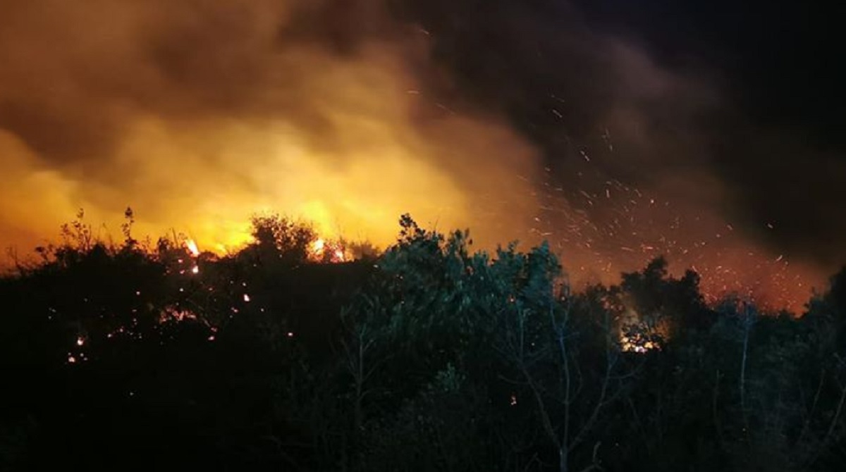 Dramatična noć na Braču, jedva ugašen požar: "Bura je doslovno nosila ljude"