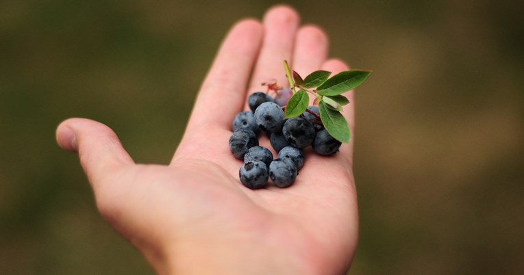 Jedite ovo voće svaki dan za dulji život, kažu znanstvenici