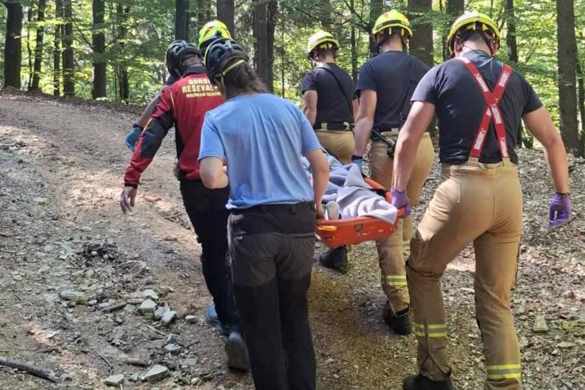 FOTO Slovenski političar brao gljive, pao i slomio kuk. Spašavao ga helikopter