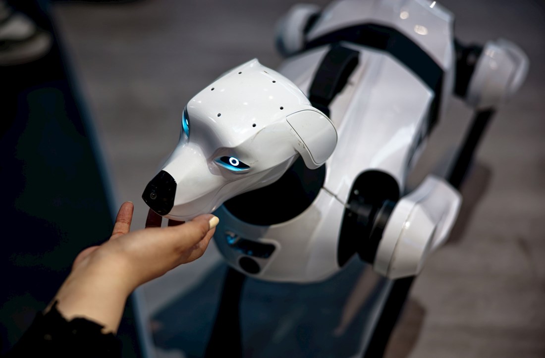 Robotskim psom u meksičkom gradu želi se podići svijest o pravima životinja