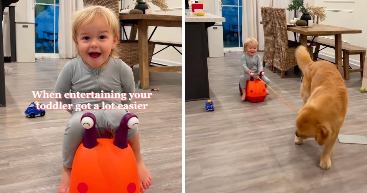 Mama se sjetila super ideje kako da istovremeno zabavi sina i psa. Oduševila idejom