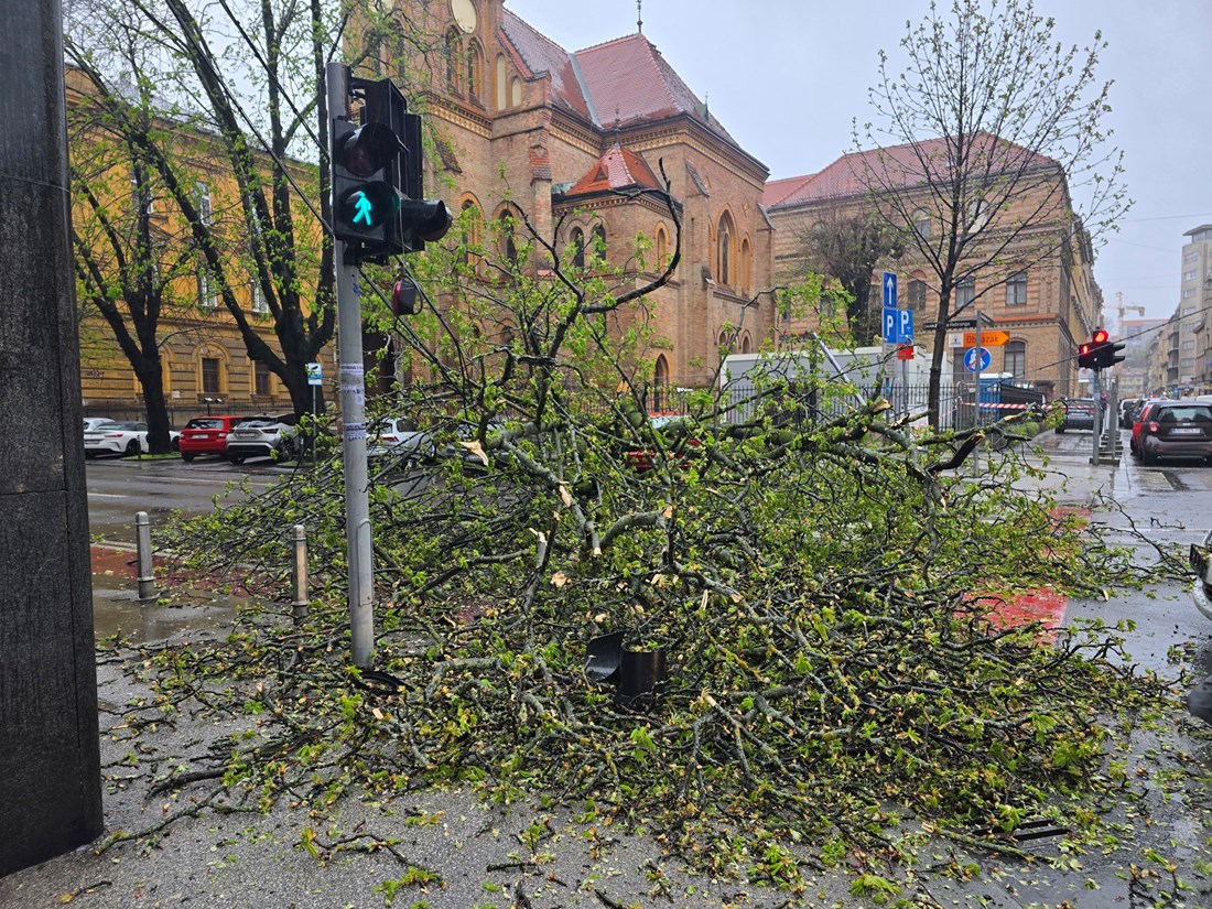 FOTO Vjetar srušio stablo u centru Zagreba