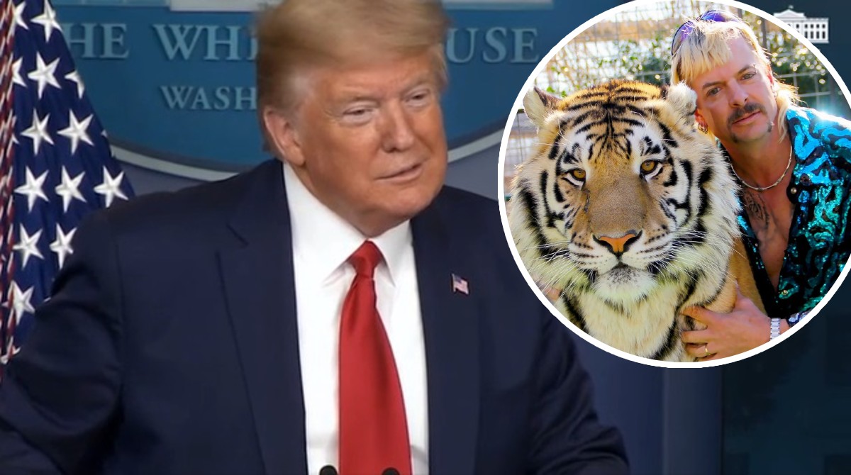 Trumpa pitali hoće li pomilovati zvijezdu Tiger Kinga, pogledajte kako je reagirao