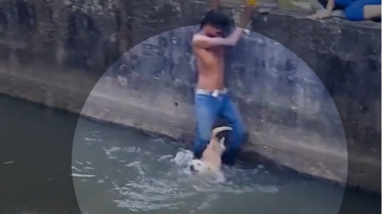 Siroti pas se utapao u kanalu, a onda ga je hrabar dječak spasio