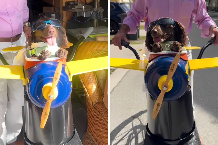 Djed napravio sjedalo za bicikl u obliku aviona za svog psa, video je hit