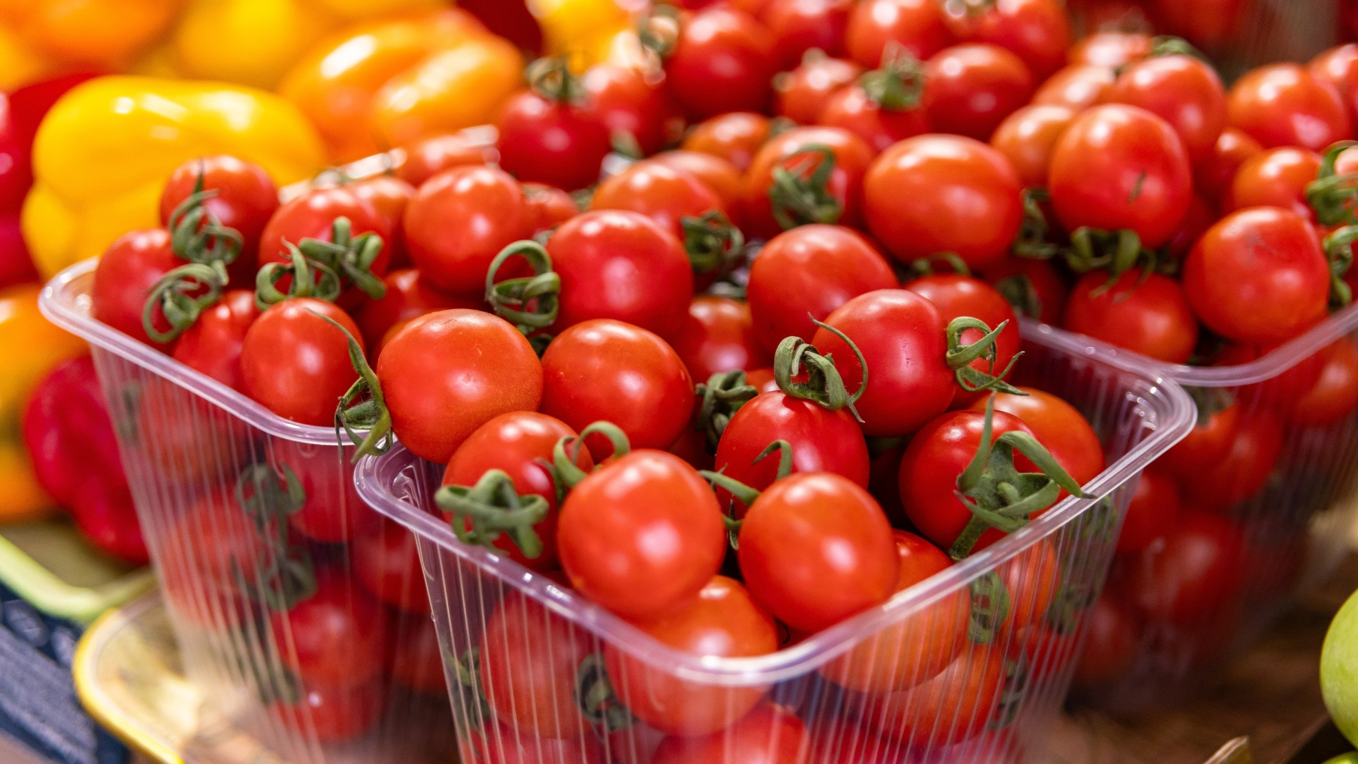 Kako pravilno čuvati cherry rajčice - i očuvati njihov maksimum