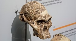 Skupina ranih ljudi u Africi je živjela milijun godina ranije no što se mislilo