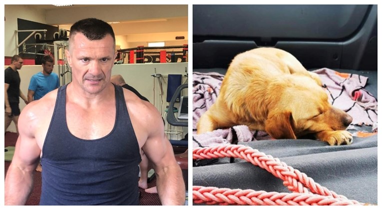 Cro Cop se pobrinuo za napuštenog psa: "Tužna priča, ali sa sretnim završetkom"