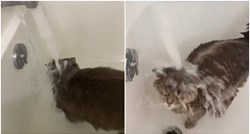 Ljudi ne vjeruju koliko ova mačka voli vodu: "Ovo nisam nikad vidio..."