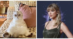 Lista najbogatijih ljubimaca: Mačka Taylor Swift vrijedi 91.5 milijuna eura